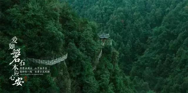 真空包装机,一机大妙用